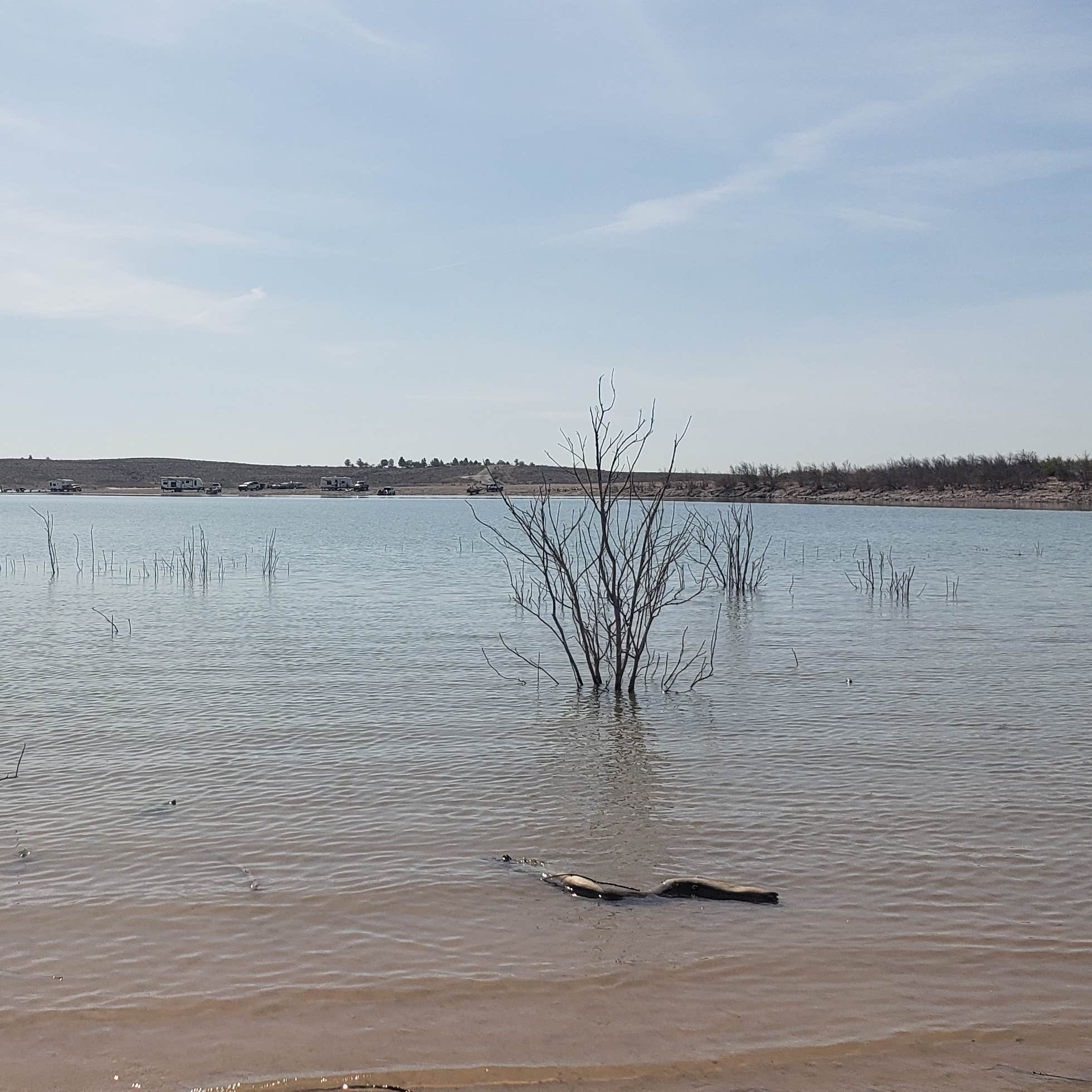 Brantley Lake State Park Camping | The Dyrt