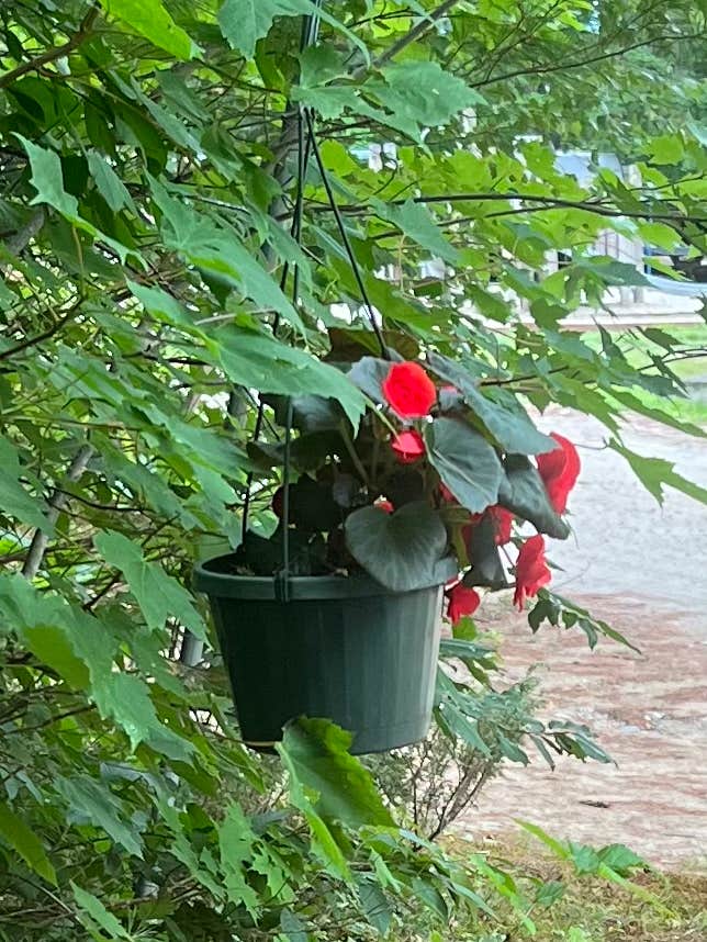Camper-submitted photo at Stony Brook Recreation and Campground near Jay, ME