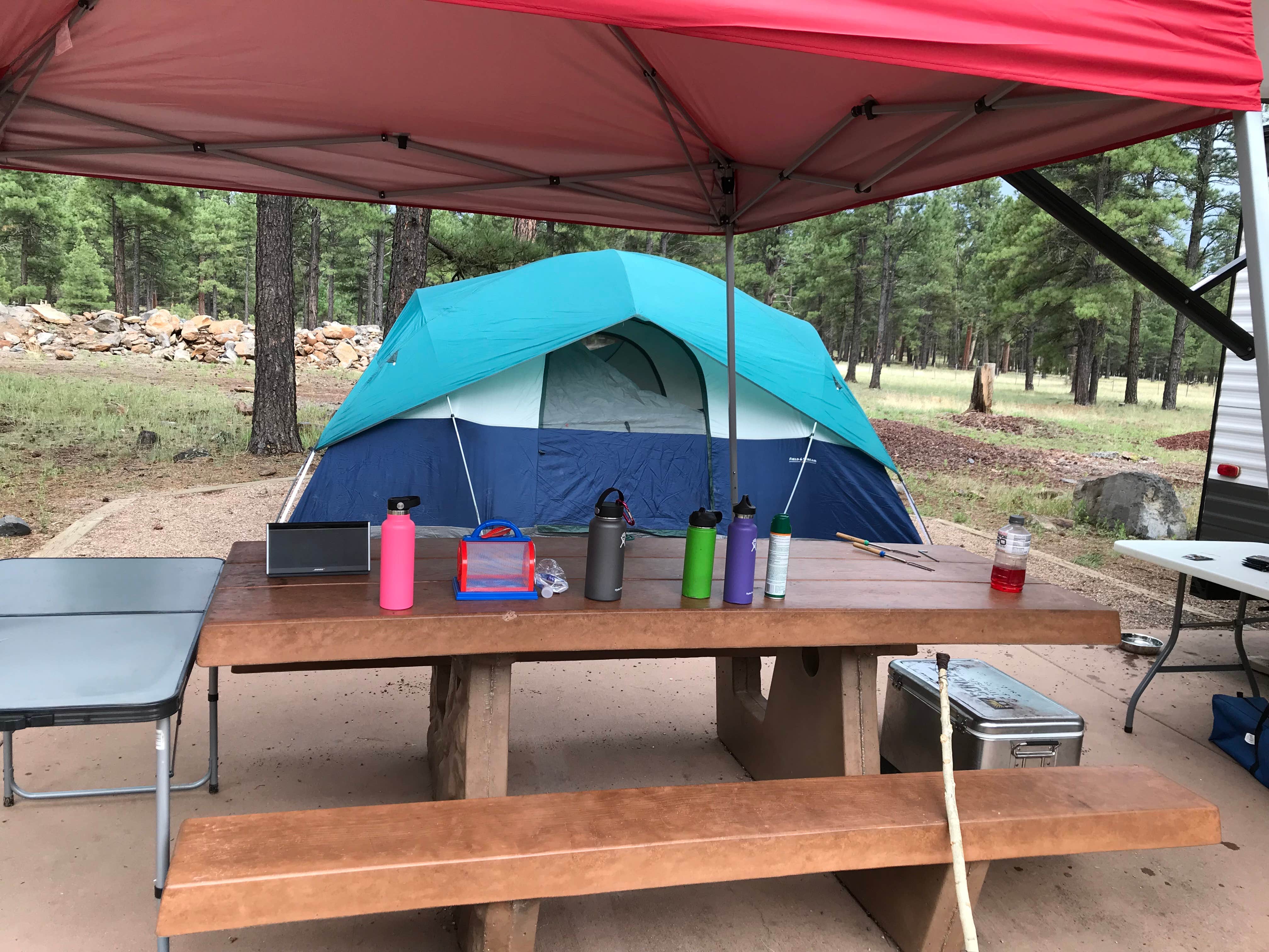 Camper submitted image from Whitehorse Campground - Bucks Lake Recreation Area - 3