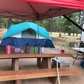 Review photo of Whitehorse Campground - Bucks Lake Recreation Area by Erin C., July 23, 2018