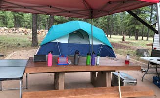 Erin C.'s photo at Whitehorse Campground - Bucks Lake Recreation Area near Meadow Valley, CA