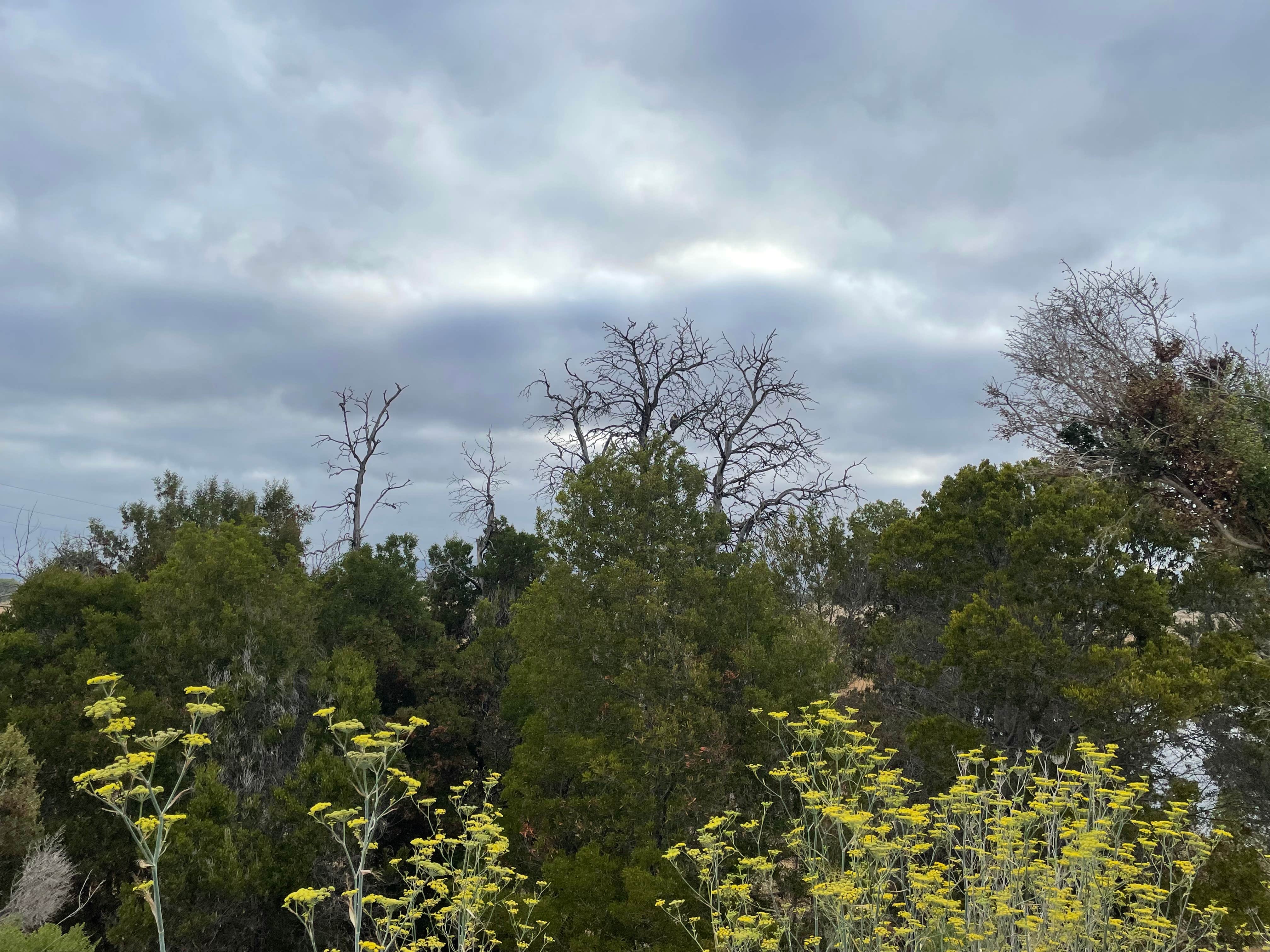 Camper-submitted photo at Hollywood RV Park near Calabasas Hills, CA