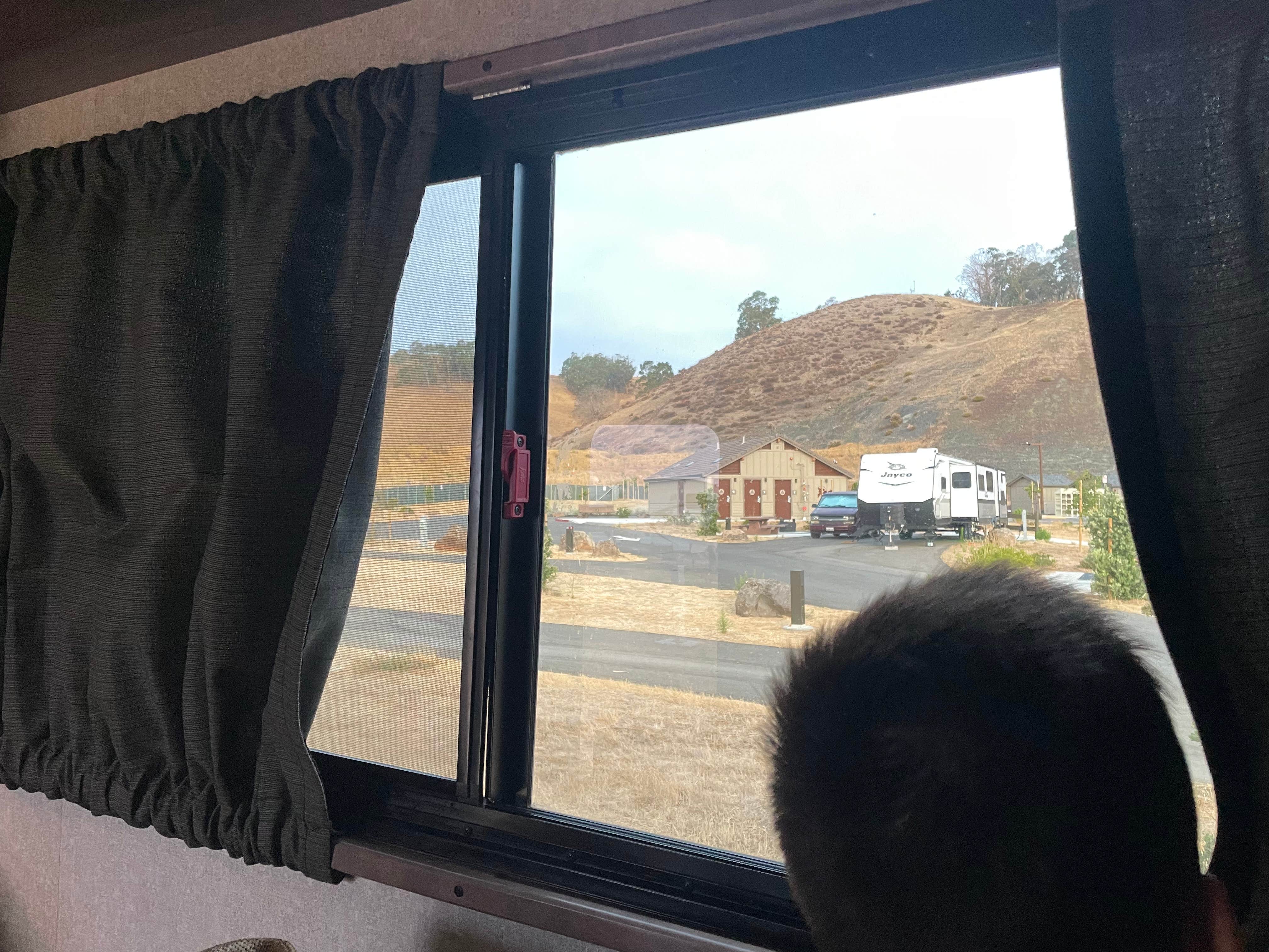 Camper submitted image from Hollywood RV Park - 5