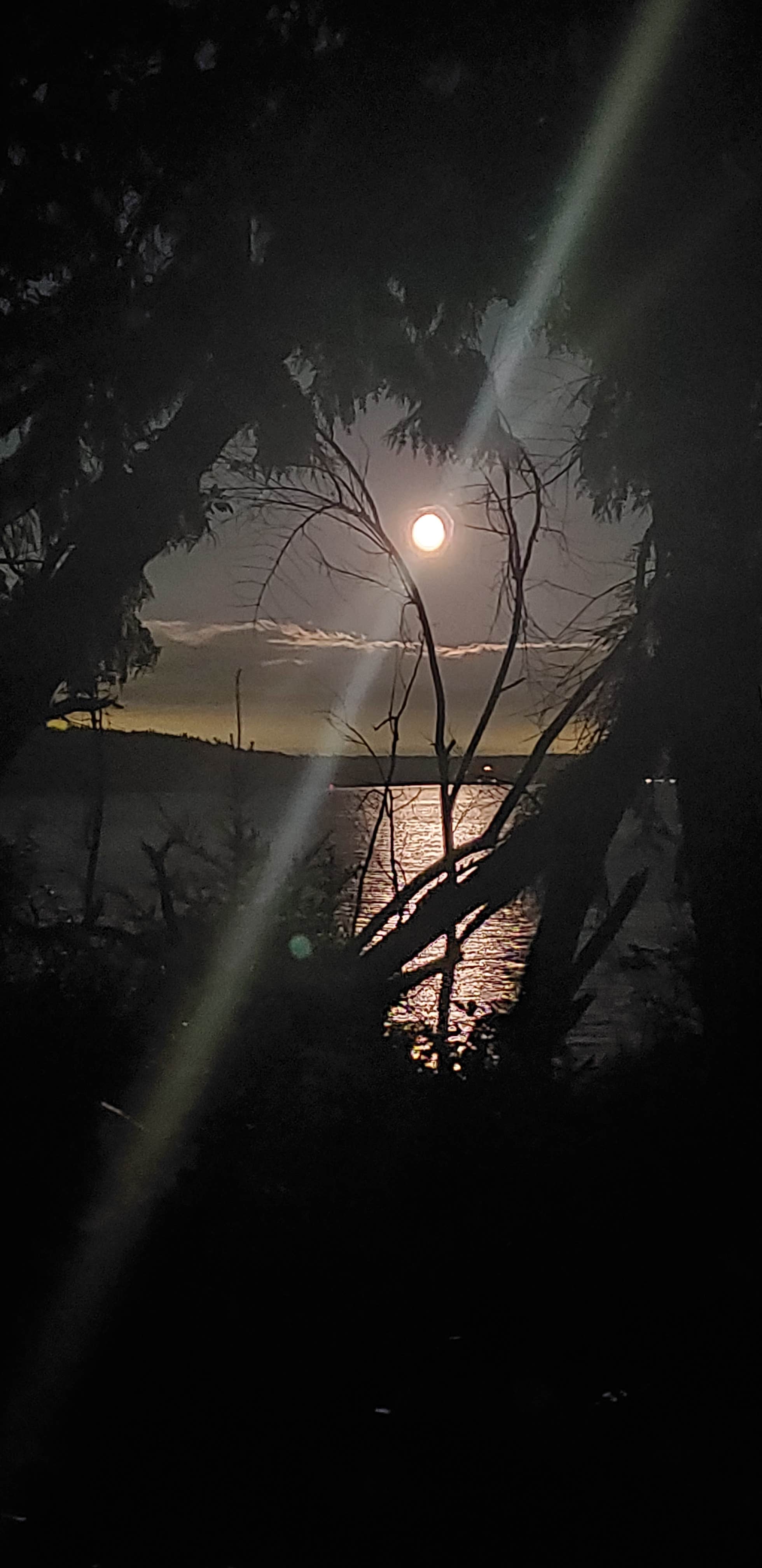 Camper-submitted photo at Seal Rock Campground near Port Ludlow, WA