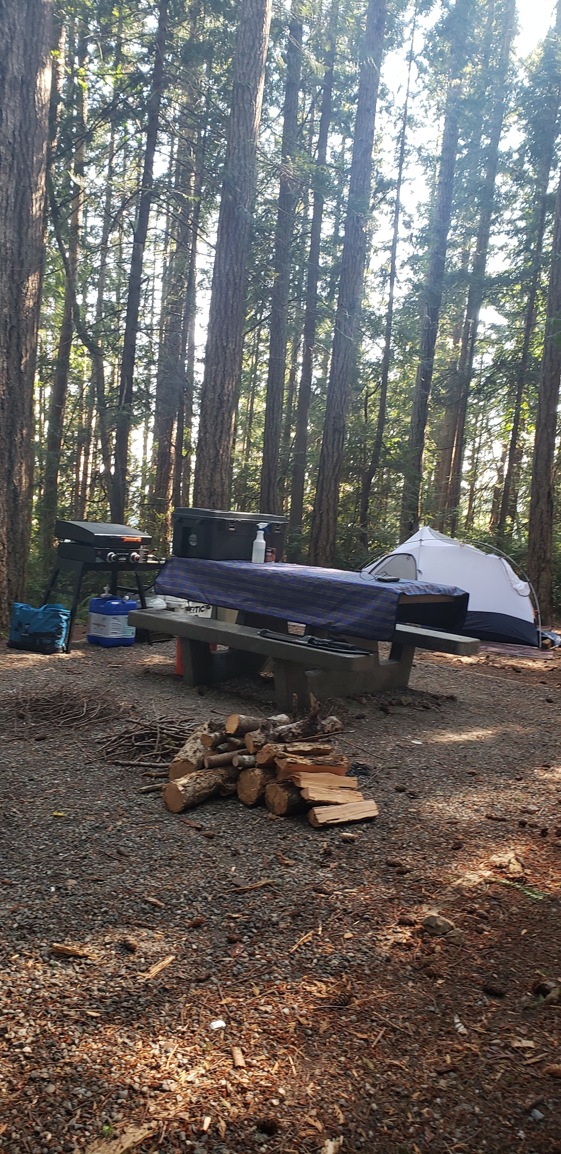 Camper submitted image from Seal Rock Campground - 1