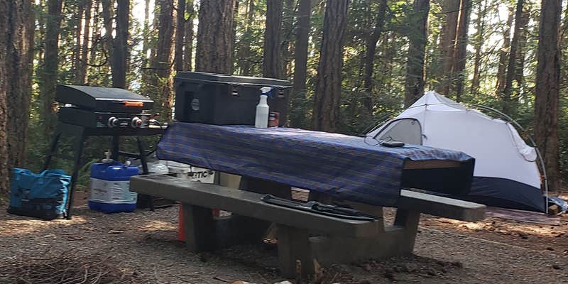 Camper submitted image from Seal Rock Campground