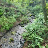 Review photo of Dash Point State Park Campground by Robert K., August 13, 2022