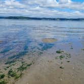 Review photo of Dash Point State Park Campground by Robert K., August 13, 2022