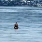 Review photo of Dash Point State Park Campground by Robert K., August 13, 2022