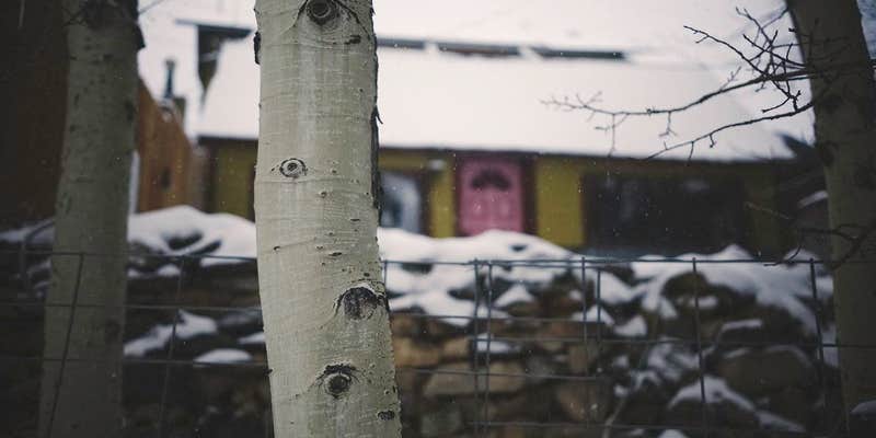 Camper submitted image from Vein Of Gold Cabin