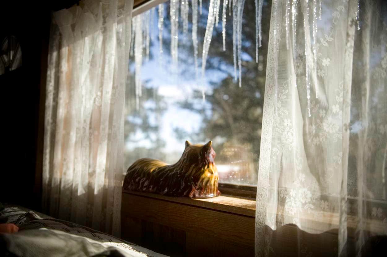 Jessica K.'s photo of camping with pets at Vein Of Gold Cabin near Nederland, CO