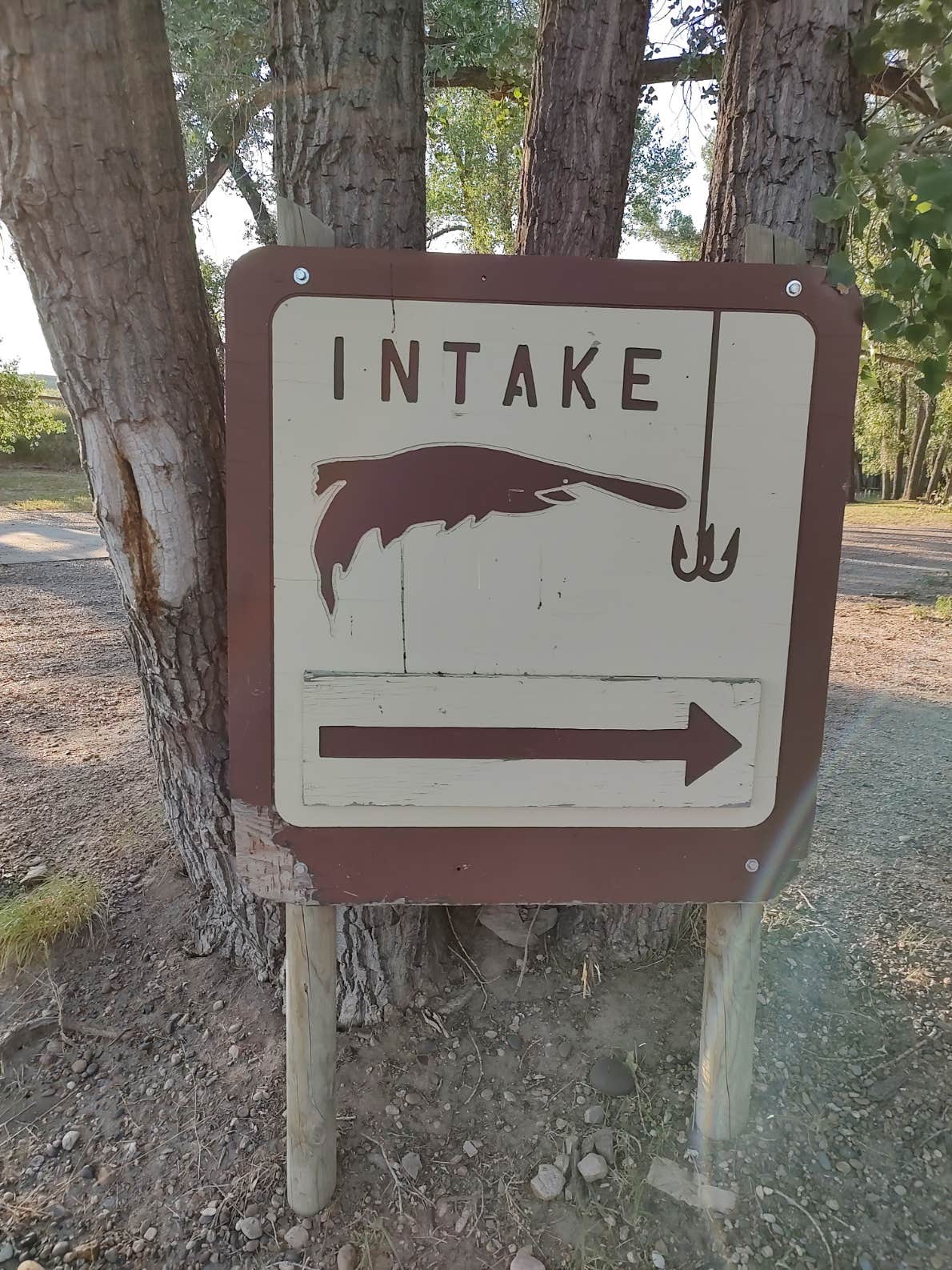 Camper-submitted photo at Intake Dam near Glendive, MT