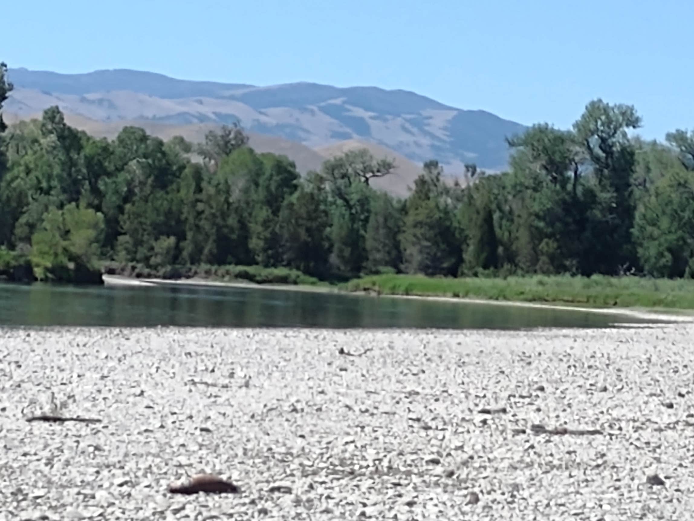 Camper-submitted photo at Yorks Islands Fishing Access Site near Townsend, MT