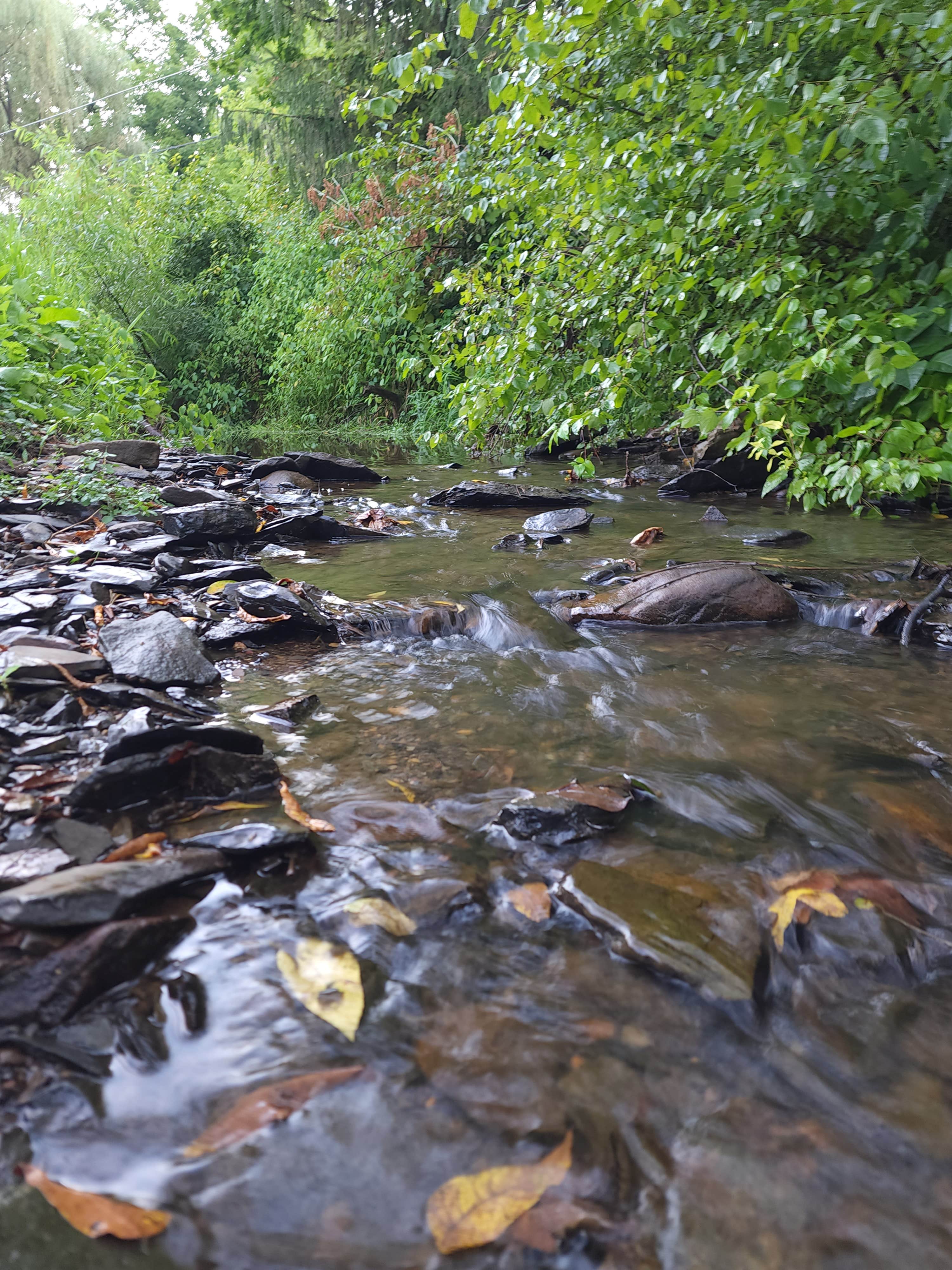 Camper-submitted photo at Pocono Point near Slatington, PA