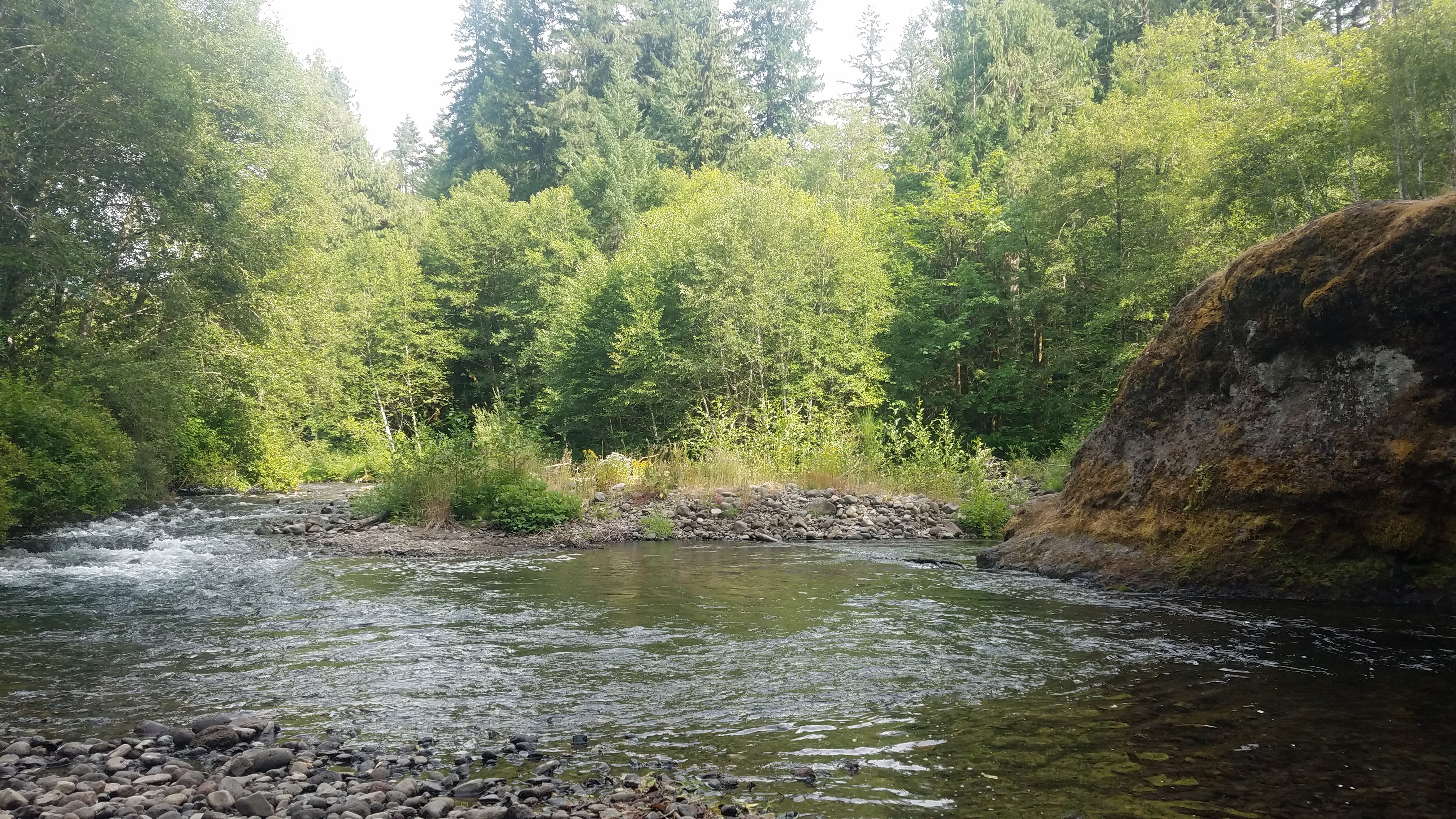 Camper submitted image from Blue Pool Campground (Middle Fork Ranger District) - 2