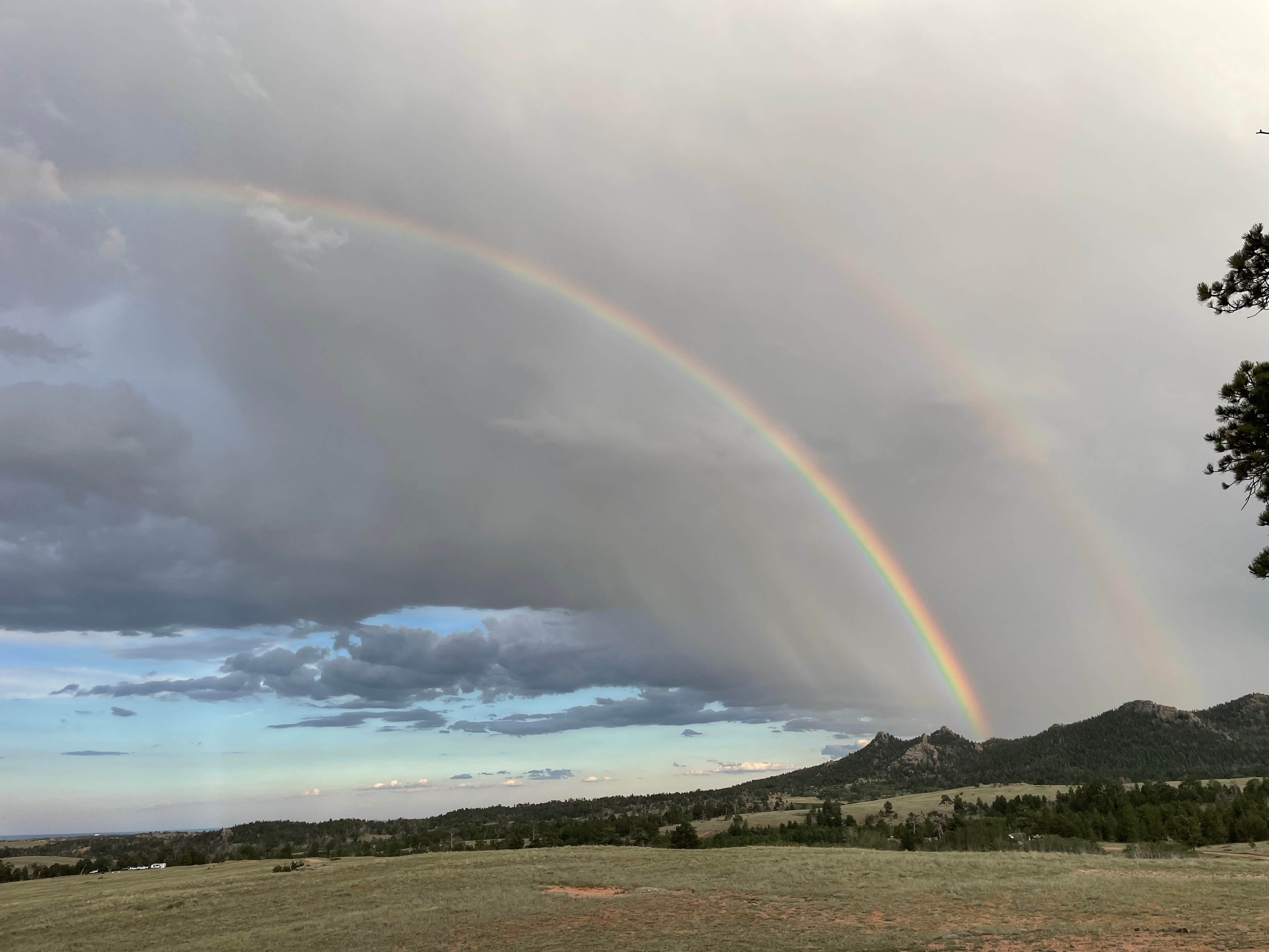 Abby M.'s photo of a dispersed camping area at Pole Mountain Area- Dispersed Campsite, Medicine Bow NF near Cheyenne, WY