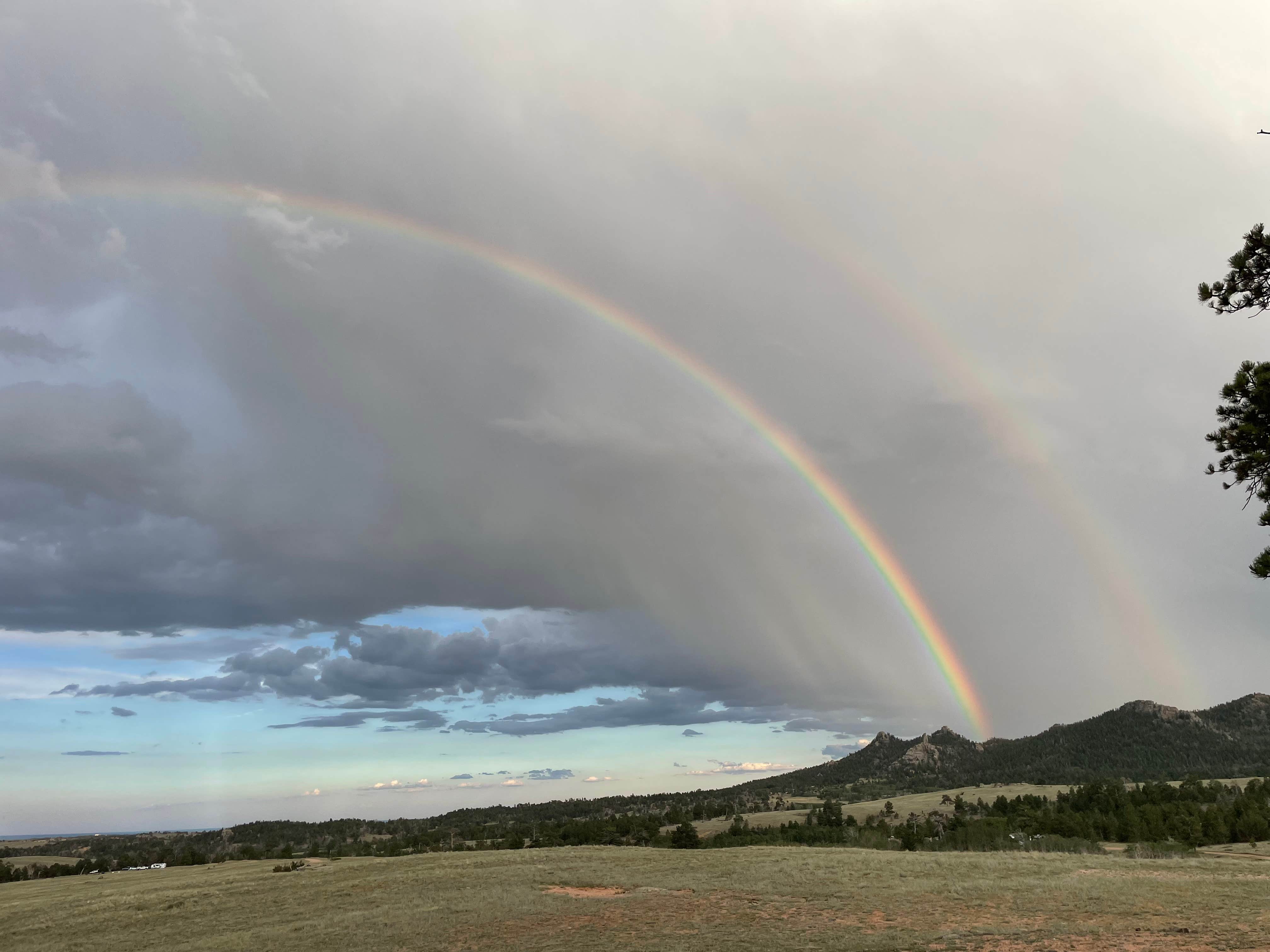 Camper submitted image from Pole Mountain Area- Dispersed Campsite, Medicine Bow NF - 2