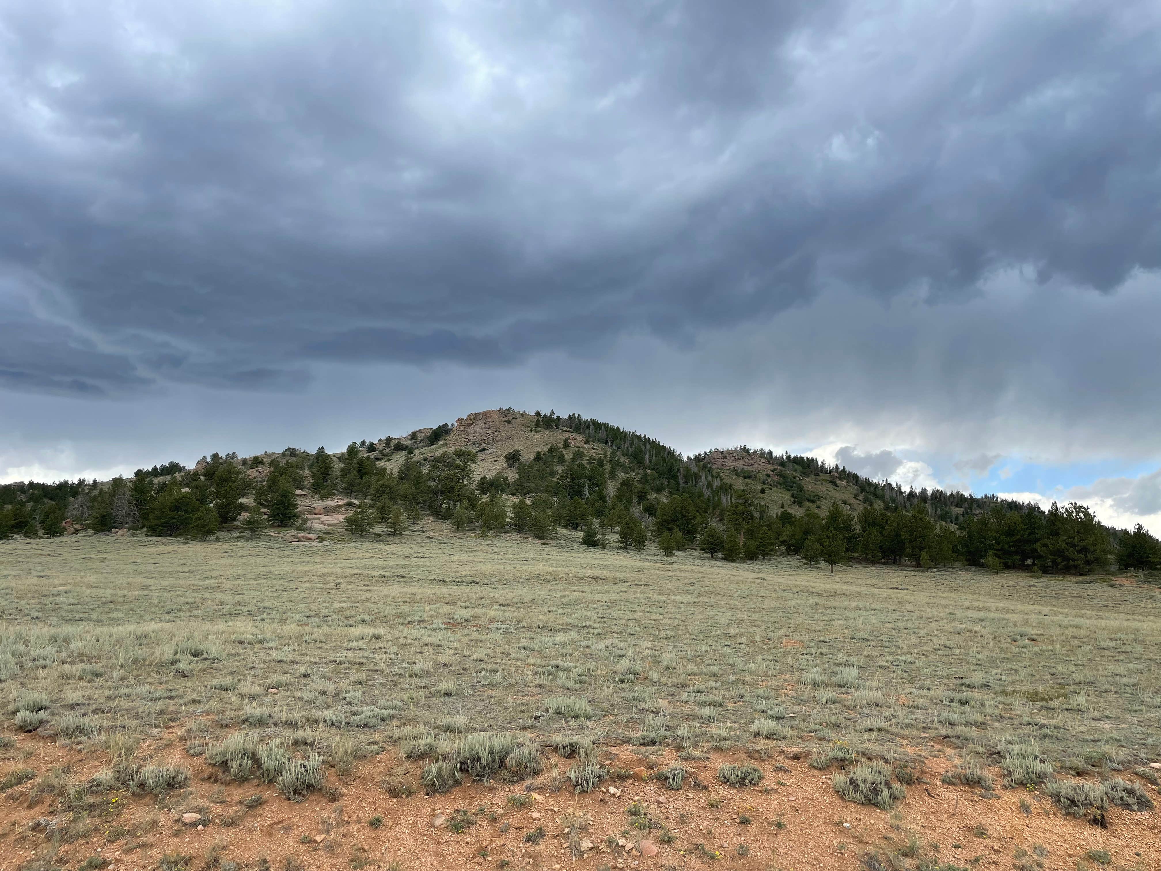 Camper submitted image from Pole Mountain Area- Dispersed Campsite, Medicine Bow NF - 3