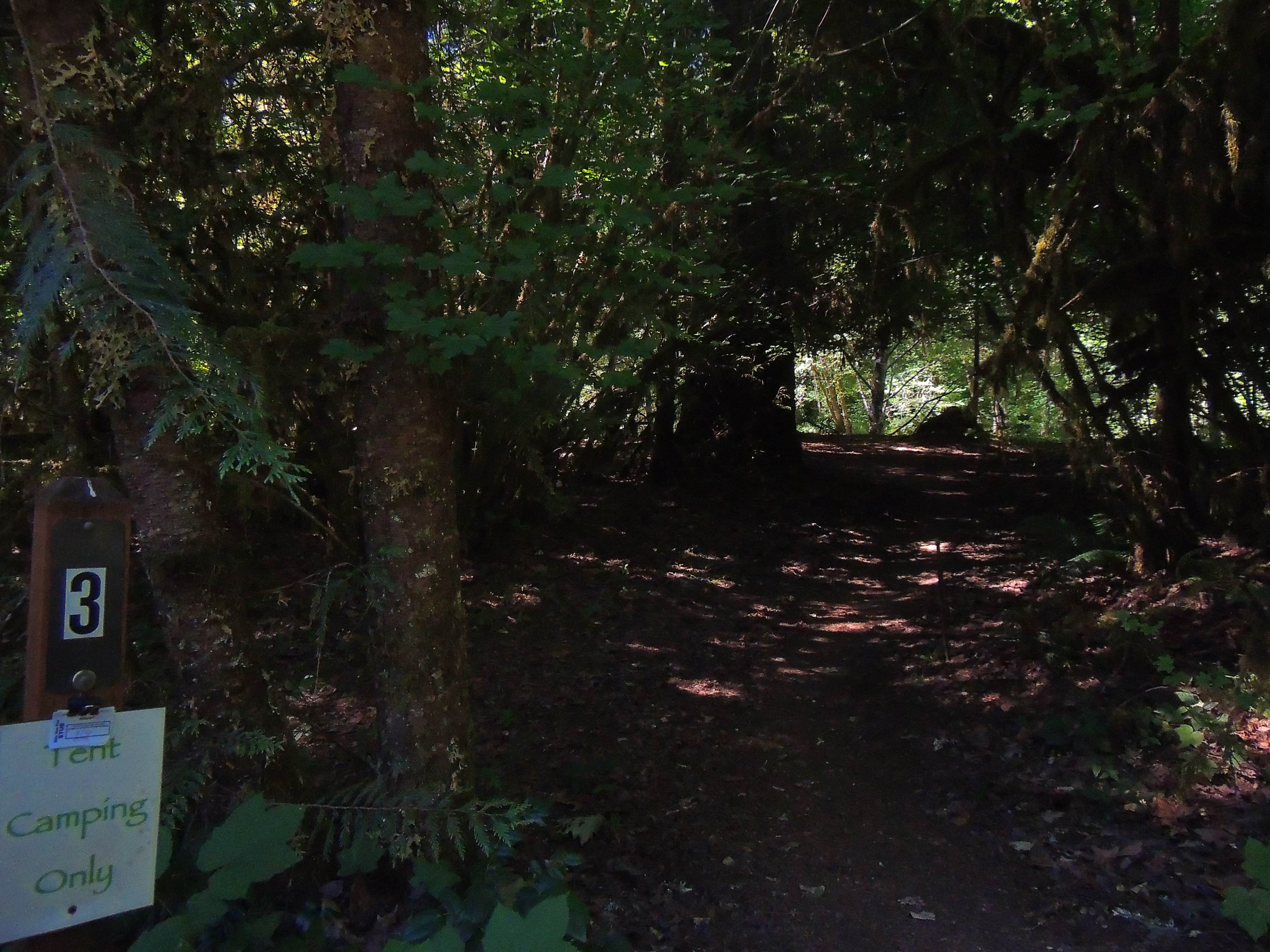 Camper-submitted photo at Blue Pool — Willamette National Forest near Oakridge, OR