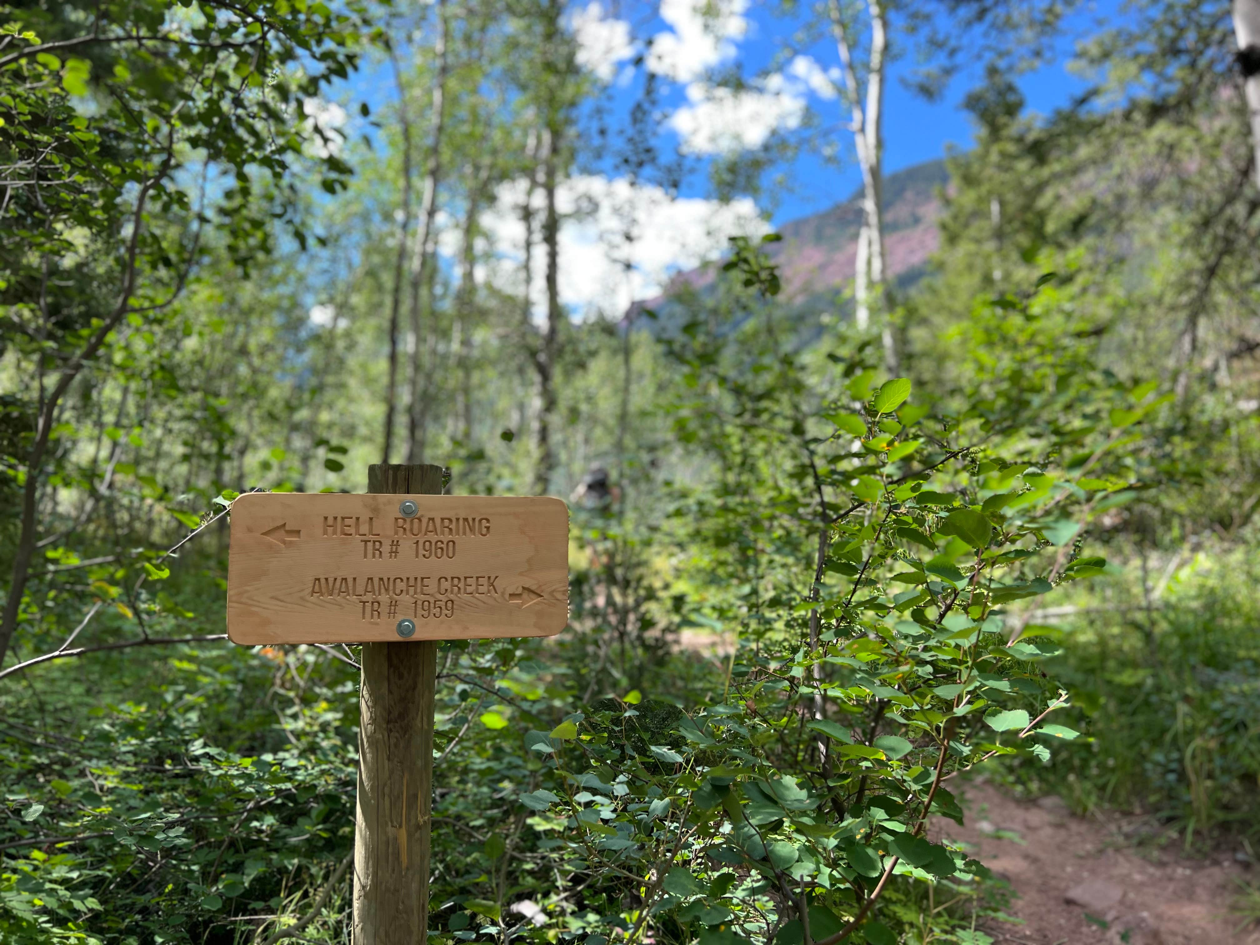 Camper submitted image from Avalanche Campground - 5