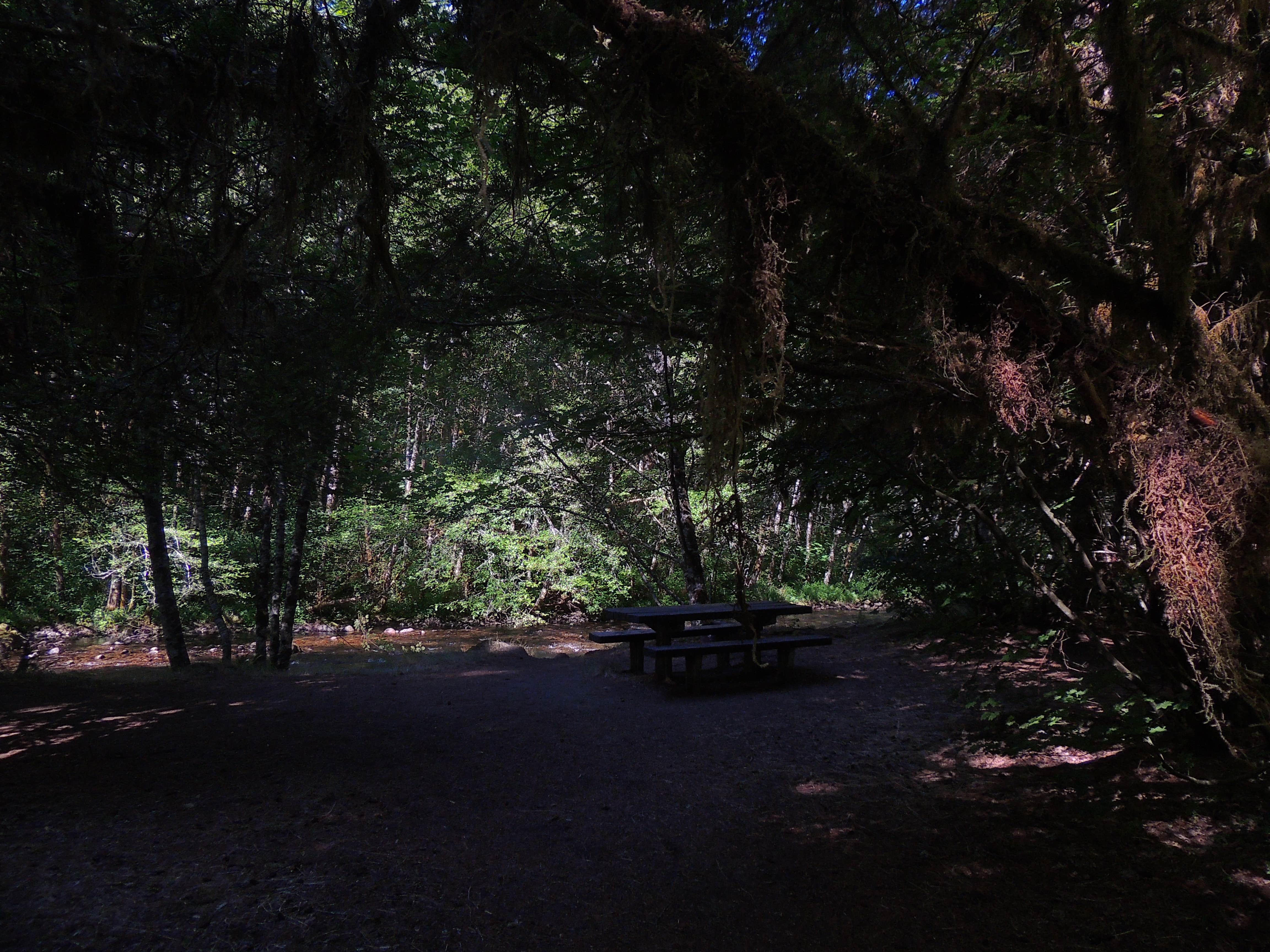 Camper submitted image from Blue Pool — Willamette National Forest - 3