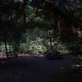 Review photo of Blue Pool Campground (Middle Fork Ranger District) by Tj B., July 23, 2018