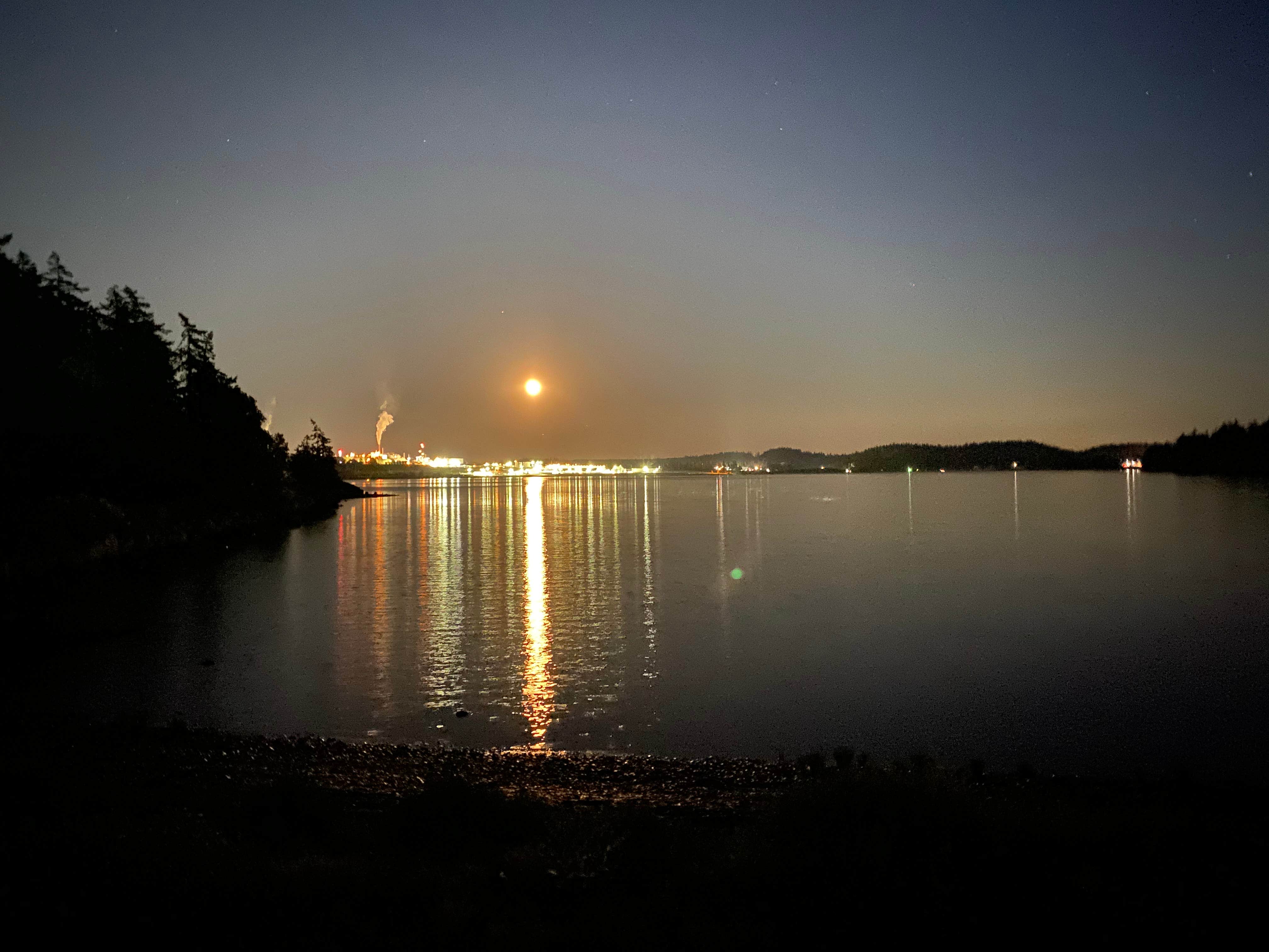 Camping near Pioneer Trails RV Resort: Fidalgo Bay Resort, Anacortes, Washington