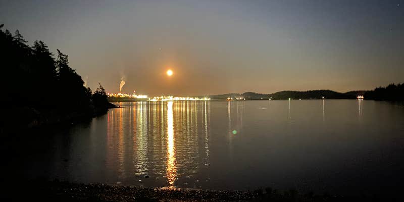 Camper submitted image from Fidalgo Bay Resort