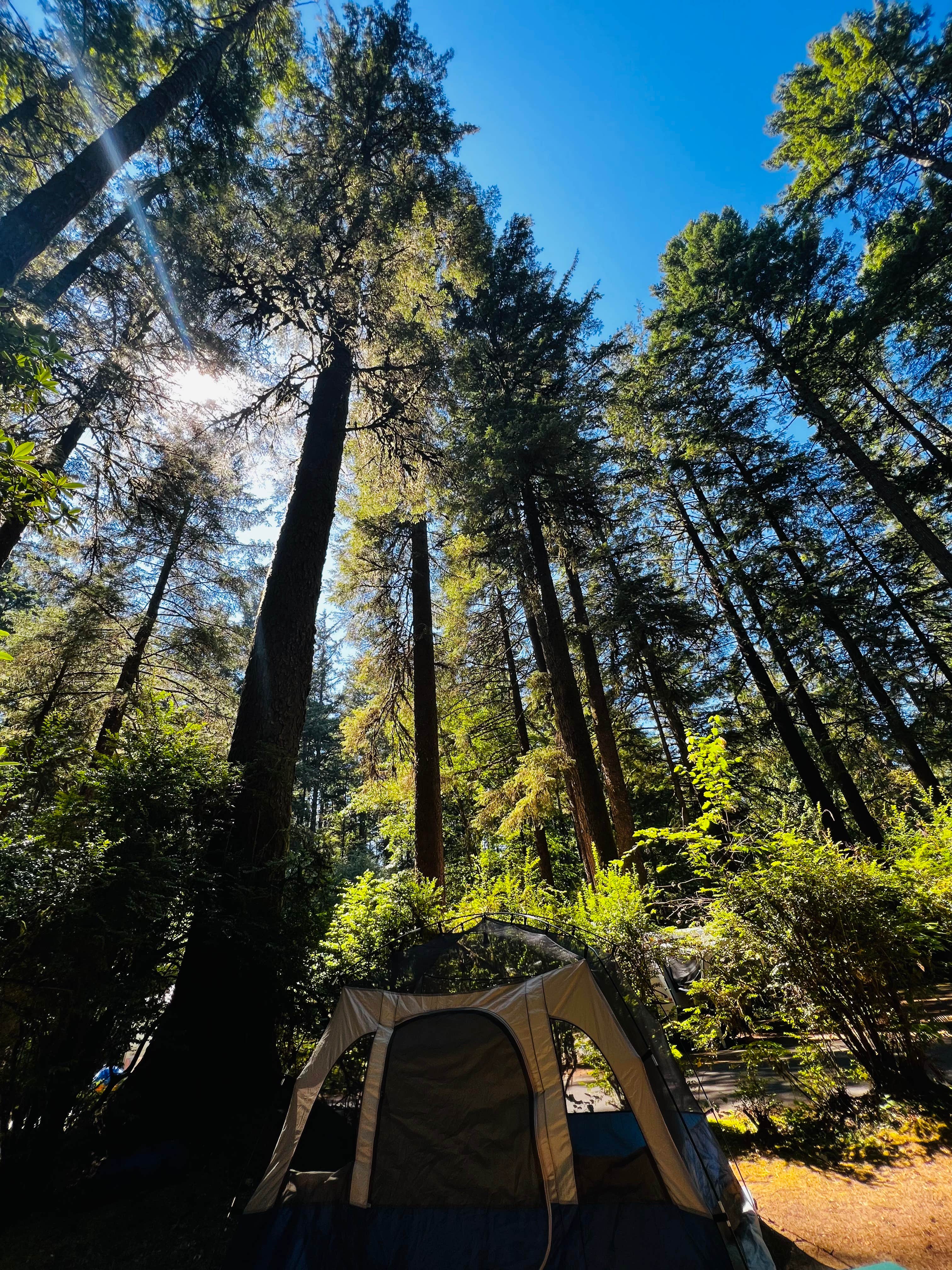 Autumn O.'s photo at Jessie M. Honeyman Memorial State Park Campground near Florence, OR
