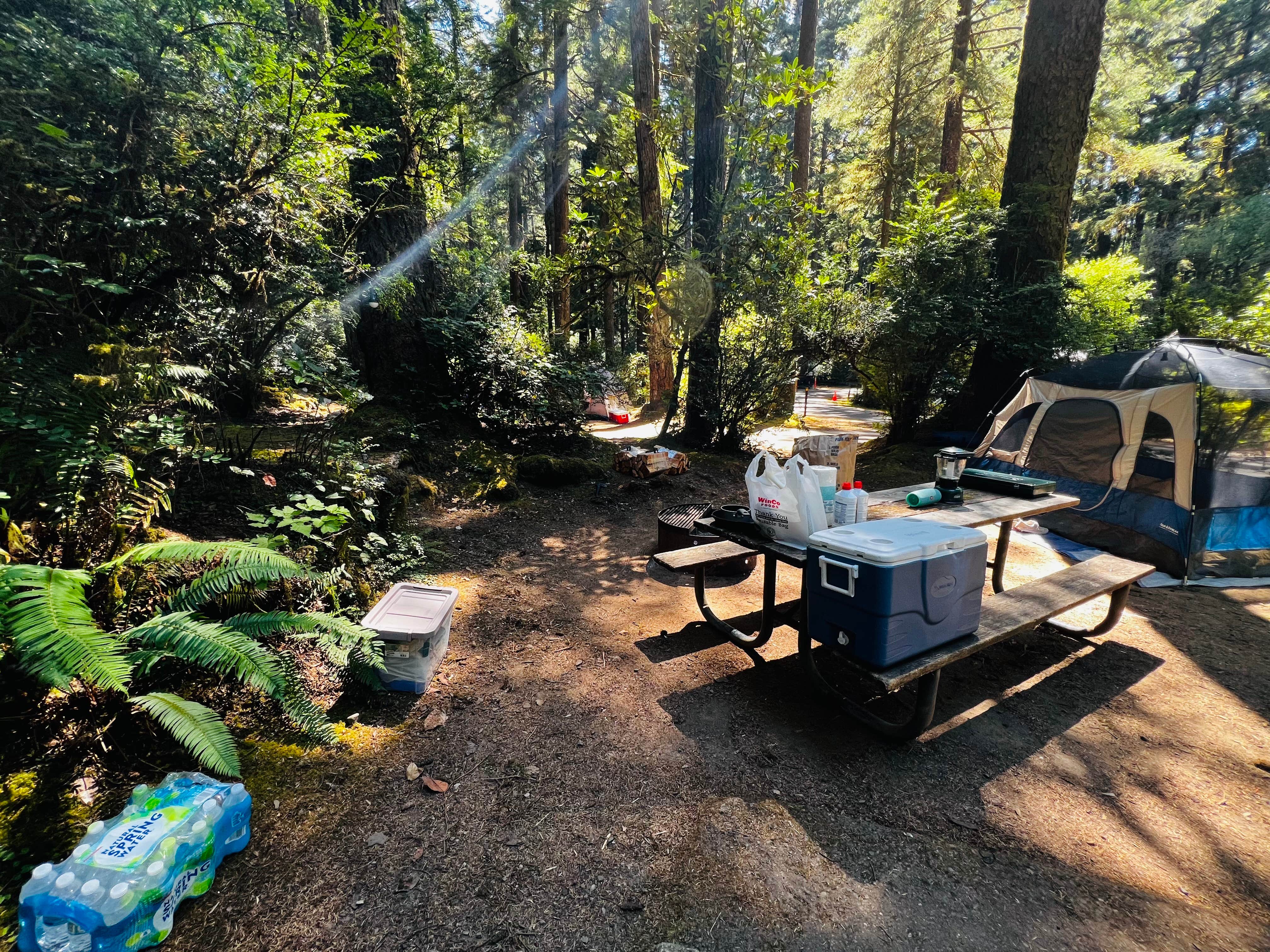 Autumn O.'s photo at Jessie M. Honeyman Memorial State Park Campground near Mapleton, OR