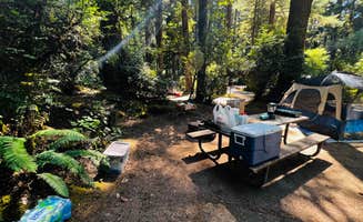 Autumn O.'s photo at Jessie M. Honeyman Memorial State Park Campground near Mapleton, OR