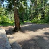 Review photo of Lolo Creek Campground by Marian J., August 14, 2022