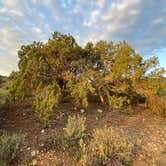 Review photo of Hwy 193 BLM Dispersed by Name , August 14, 2022