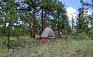 Fabein D.'s photo at Badger Flats near Hartsel, CO