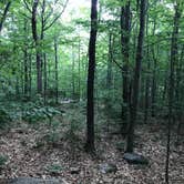 Review photo of Smugglers Notch State Park Campground by Sheila G., July 23, 2018