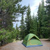 Review photo of Grant Village Campground — Yellowstone National Park by Sonny S., August 14, 2022