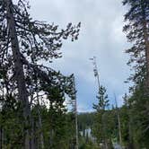 Review photo of Grant Village Campground — Yellowstone National Park by Sonny S., August 14, 2022