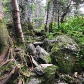 Review photo of Smugglers Notch State Park Campground by Sheila G., July 23, 2018