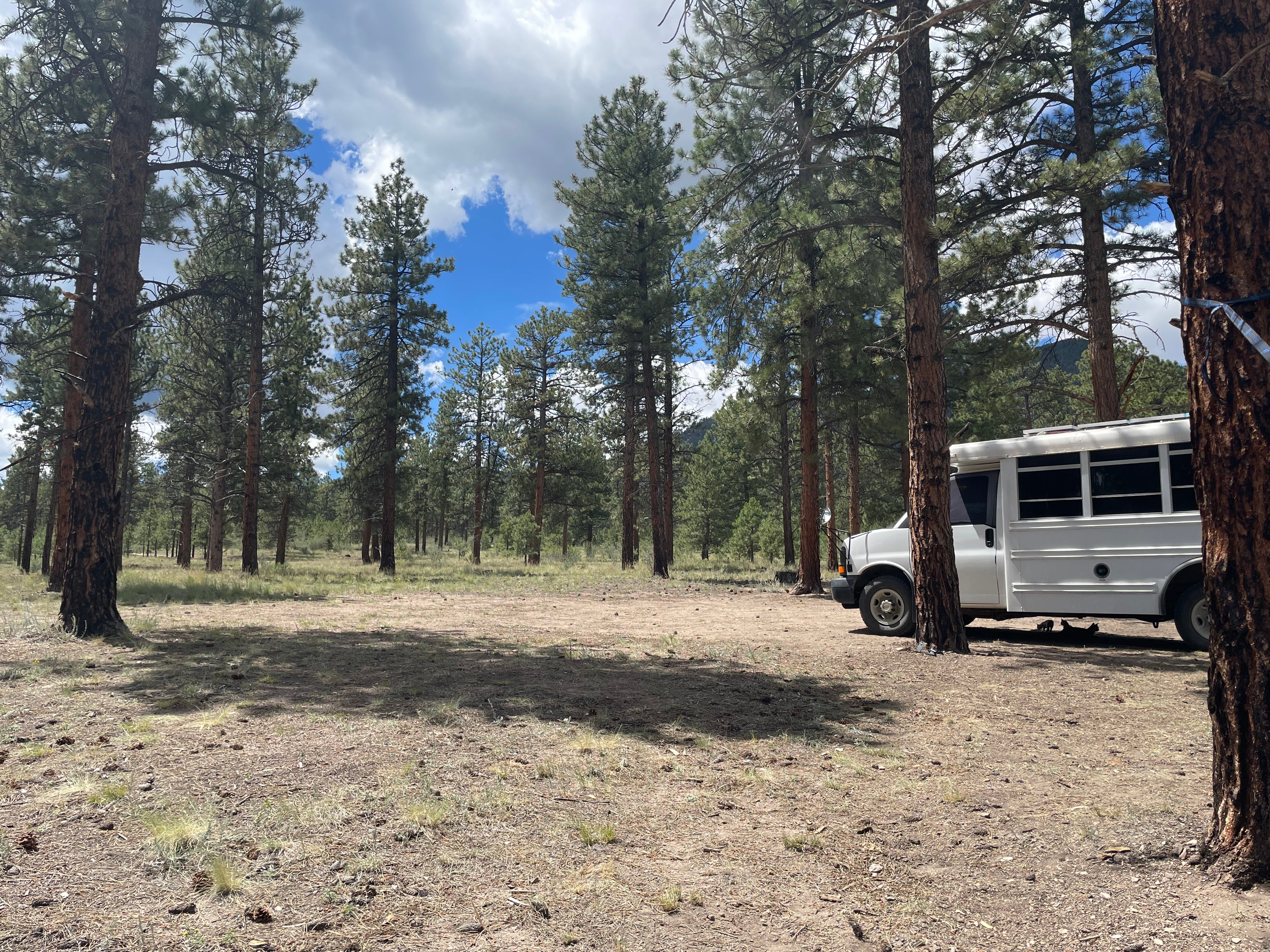 Camper submitted image from Raspberry Gulch Dispersed Site - 3