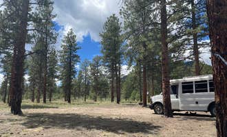 Camping near Bassam Guard Station: Raspberry Gulch Dispersed Site, Nathrop, Colorado
