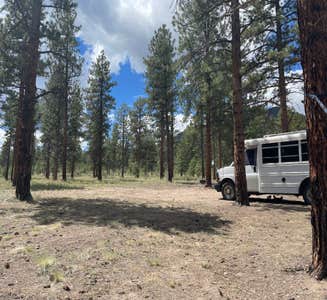 Camper-submitted photo from Raspberry Gulch Dispersed Site