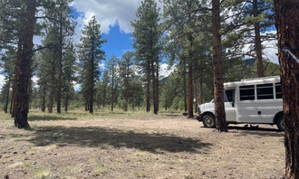 Camping near Antero Hot Springs Cabins: Raspberry Gulch Dispersed Site, Nathrop, Colorado