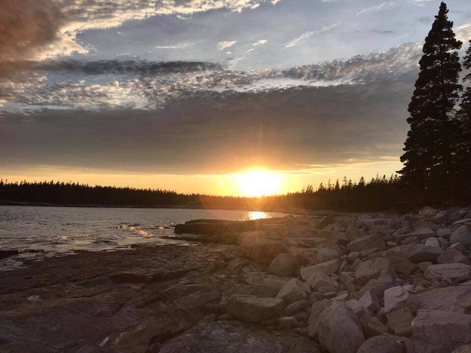 Camper submitted image from Bass Harbor Campground - 2