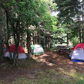 Review photo of Bass Harbor Campground by Sheila G., July 23, 2018