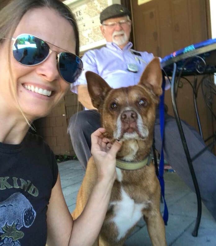 Sheila G.'s photo of camping with pets at Bass Harbor Campground near Deer Isle, ME