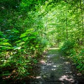 Review photo of Newport State Park Campground by Stephanie S., August 14, 2022