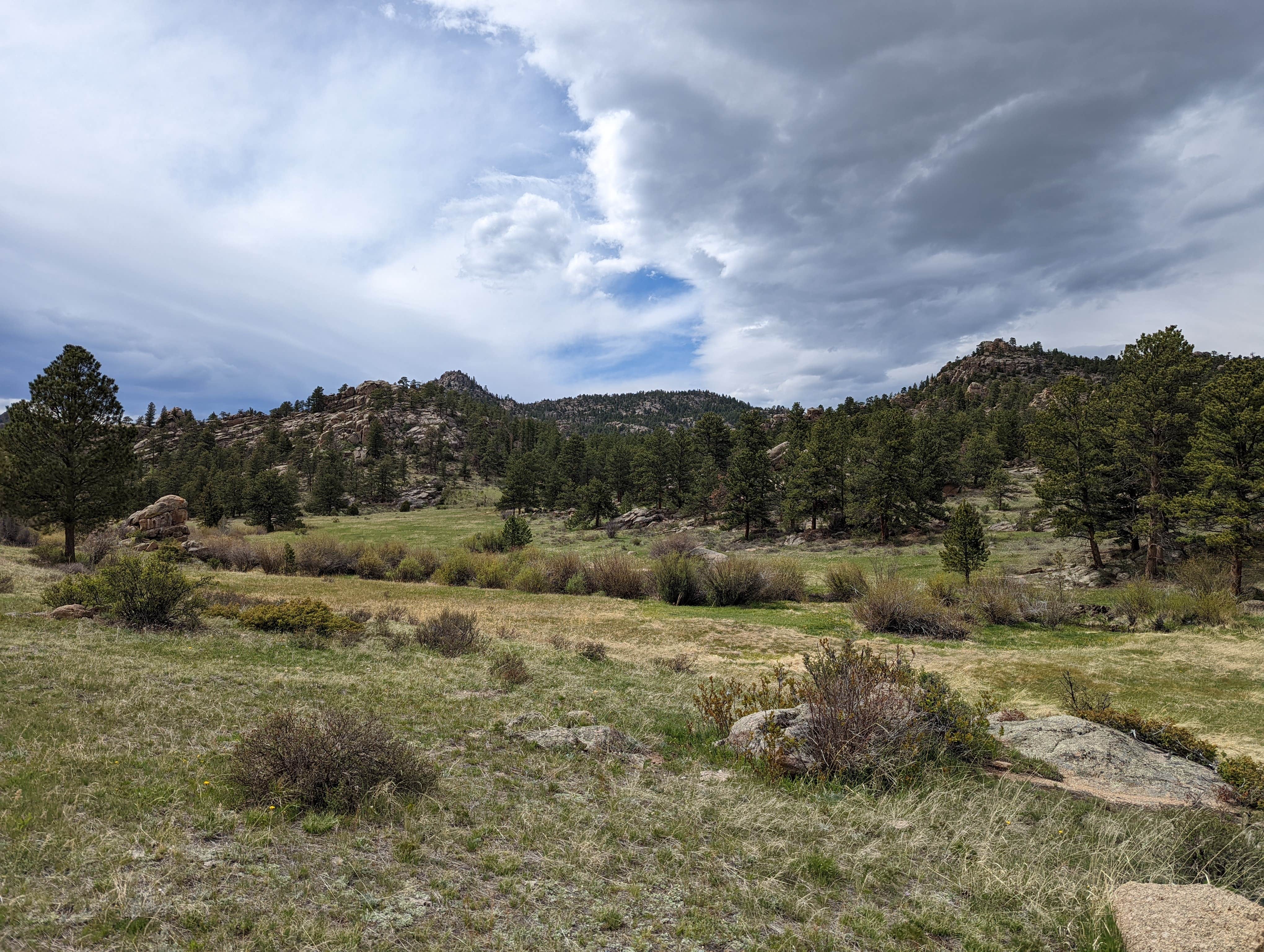 Camper submitted image from Elkhorn Creek Dispersed Camping - 3