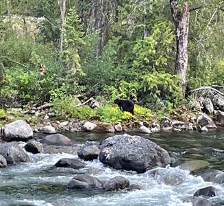 Camper-submitted photo from Icicle River RV Resort