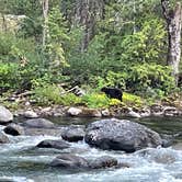 Review photo of Icicle River RV Resort by Amy , August 14, 2022