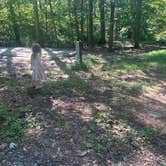 Review photo of French Creek State Park Campground by Amanda K., August 14, 2022